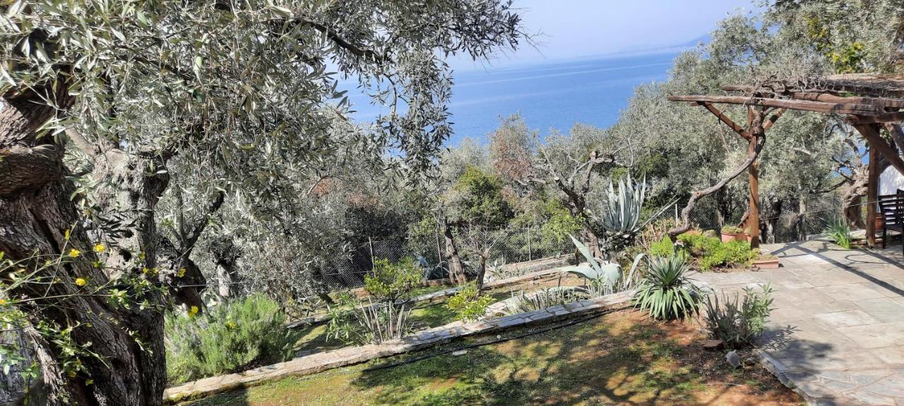 Villa Imelda Áfissos Luaran gambar