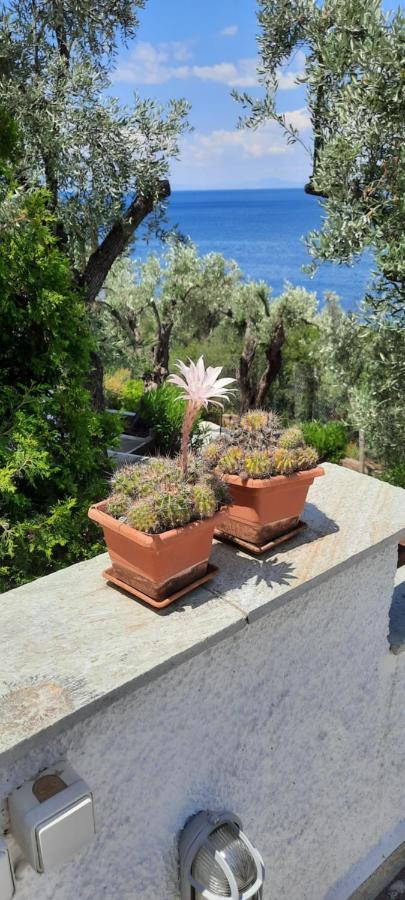 Villa Imelda Áfissos Luaran gambar